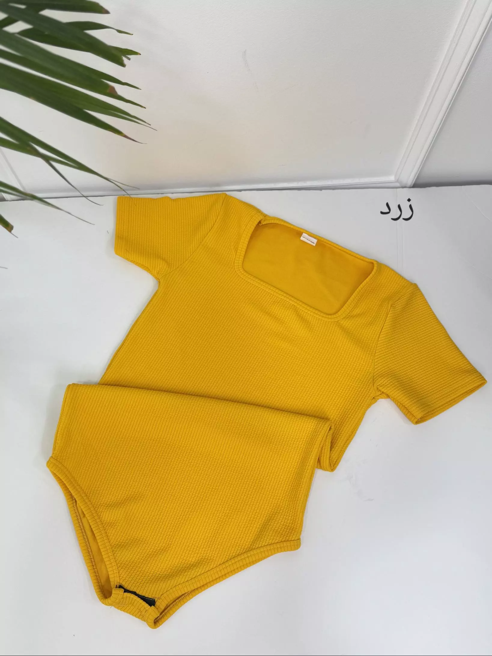 بادی آنیلا
